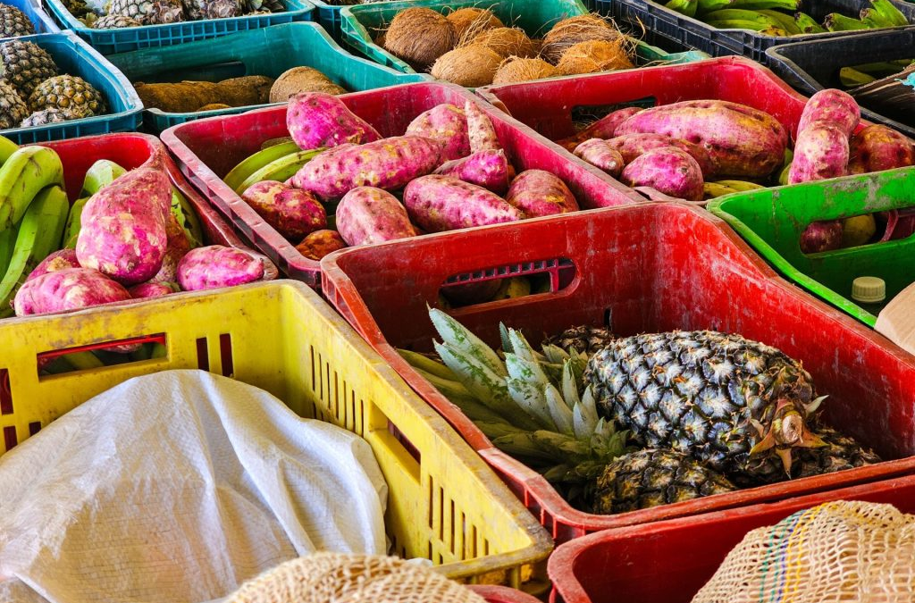 Camponeses de Alagoas levam 13 toneladas de produtos para a Feira Nacional do MST em São Paulo