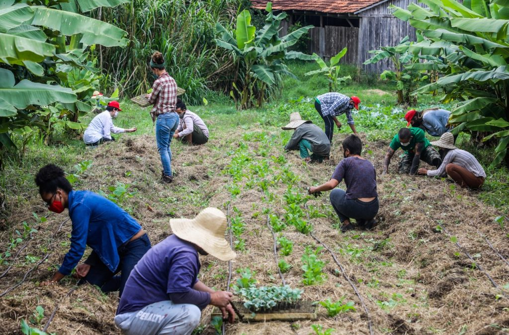 A Feira Nacional é uma grande roda da agroecologia